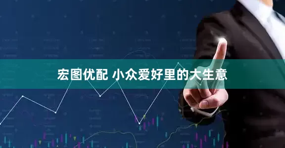 宏图优配 小众爱好里的大生意