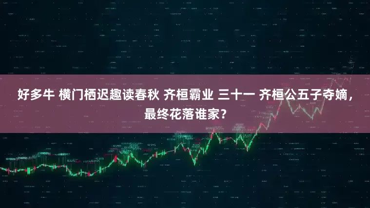 好多牛 横门栖迟趣读春秋 齐桓霸业 三十一 齐桓公五子夺嫡，最终花落谁家？